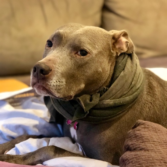 WELCOME! Nice to meet you! I ACCEPT MOST OFFERS! Try me!! - Picture 14 of 16